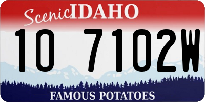 ID license plate 1O7102W