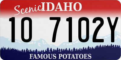 ID license plate 1O7102Y