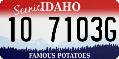 ID license plate 1O7103G