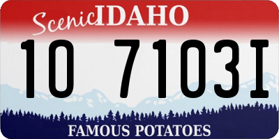 ID license plate 1O7103I