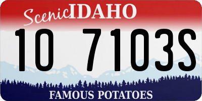 ID license plate 1O7103S