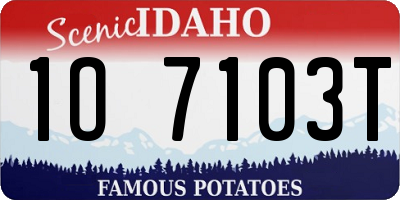 ID license plate 1O7103T