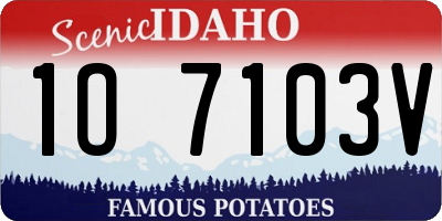 ID license plate 1O7103V
