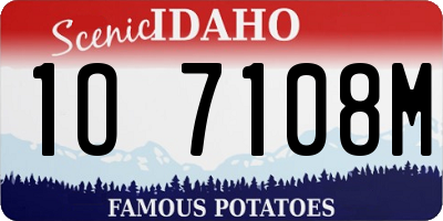 ID license plate 1O7108M