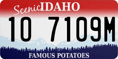 ID license plate 1O7109M
