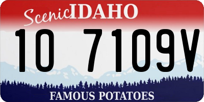 ID license plate 1O7109V