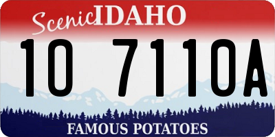 ID license plate 1O7110A