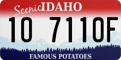 ID license plate 1O7110F