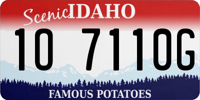 ID license plate 1O7110G