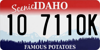ID license plate 1O7110K