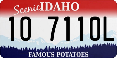 ID license plate 1O7110L
