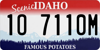 ID license plate 1O7110M