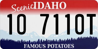 ID license plate 1O7110T