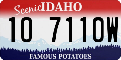 ID license plate 1O7110W