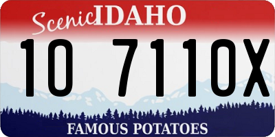 ID license plate 1O7110X