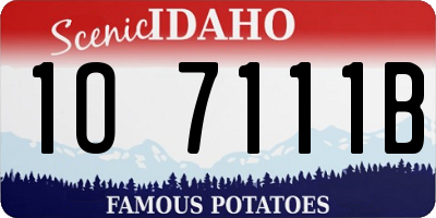 ID license plate 1O7111B