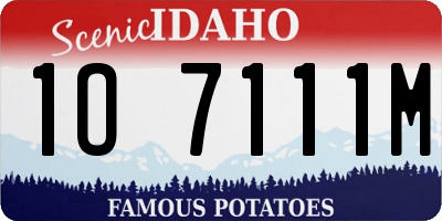 ID license plate 1O7111M