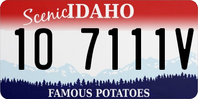 ID license plate 1O7111V