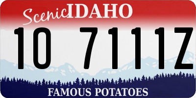 ID license plate 1O7111Z