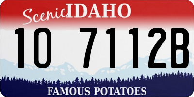 ID license plate 1O7112B