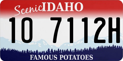 ID license plate 1O7112H