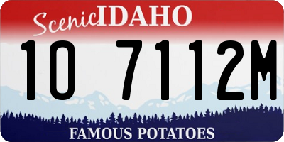 ID license plate 1O7112M