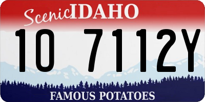 ID license plate 1O7112Y