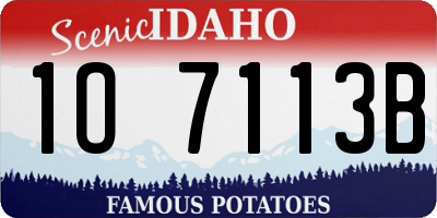 ID license plate 1O7113B