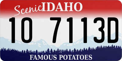 ID license plate 1O7113D