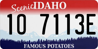 ID license plate 1O7113E
