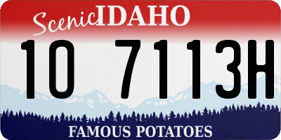 ID license plate 1O7113H