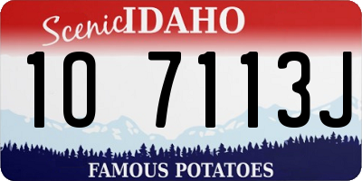 ID license plate 1O7113J