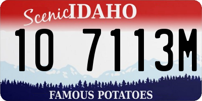 ID license plate 1O7113M