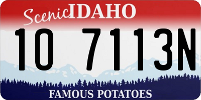 ID license plate 1O7113N