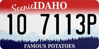 ID license plate 1O7113P