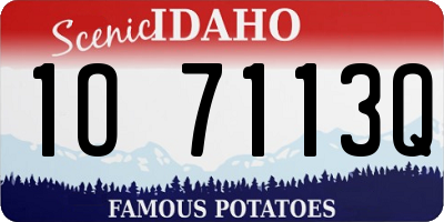 ID license plate 1O7113Q