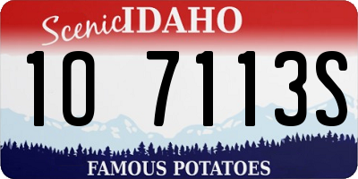 ID license plate 1O7113S