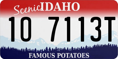 ID license plate 1O7113T