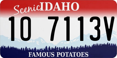 ID license plate 1O7113V