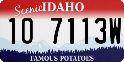 ID license plate 1O7113W