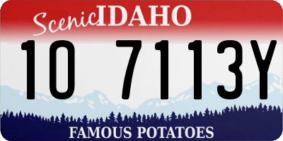 ID license plate 1O7113Y