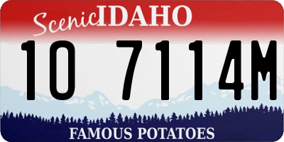 ID license plate 1O7114M