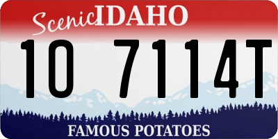 ID license plate 1O7114T