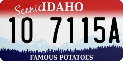 ID license plate 1O7115A