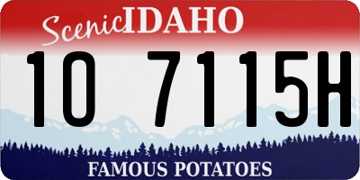 ID license plate 1O7115H