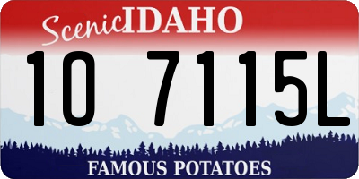 ID license plate 1O7115L