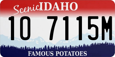 ID license plate 1O7115M