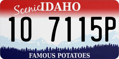 ID license plate 1O7115P