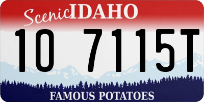 ID license plate 1O7115T