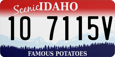 ID license plate 1O7115V